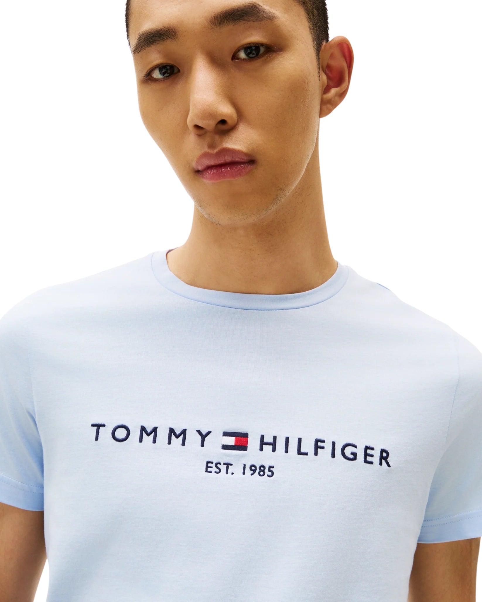 Tommy Hilfiger Logo Basic Mens T-Shirt