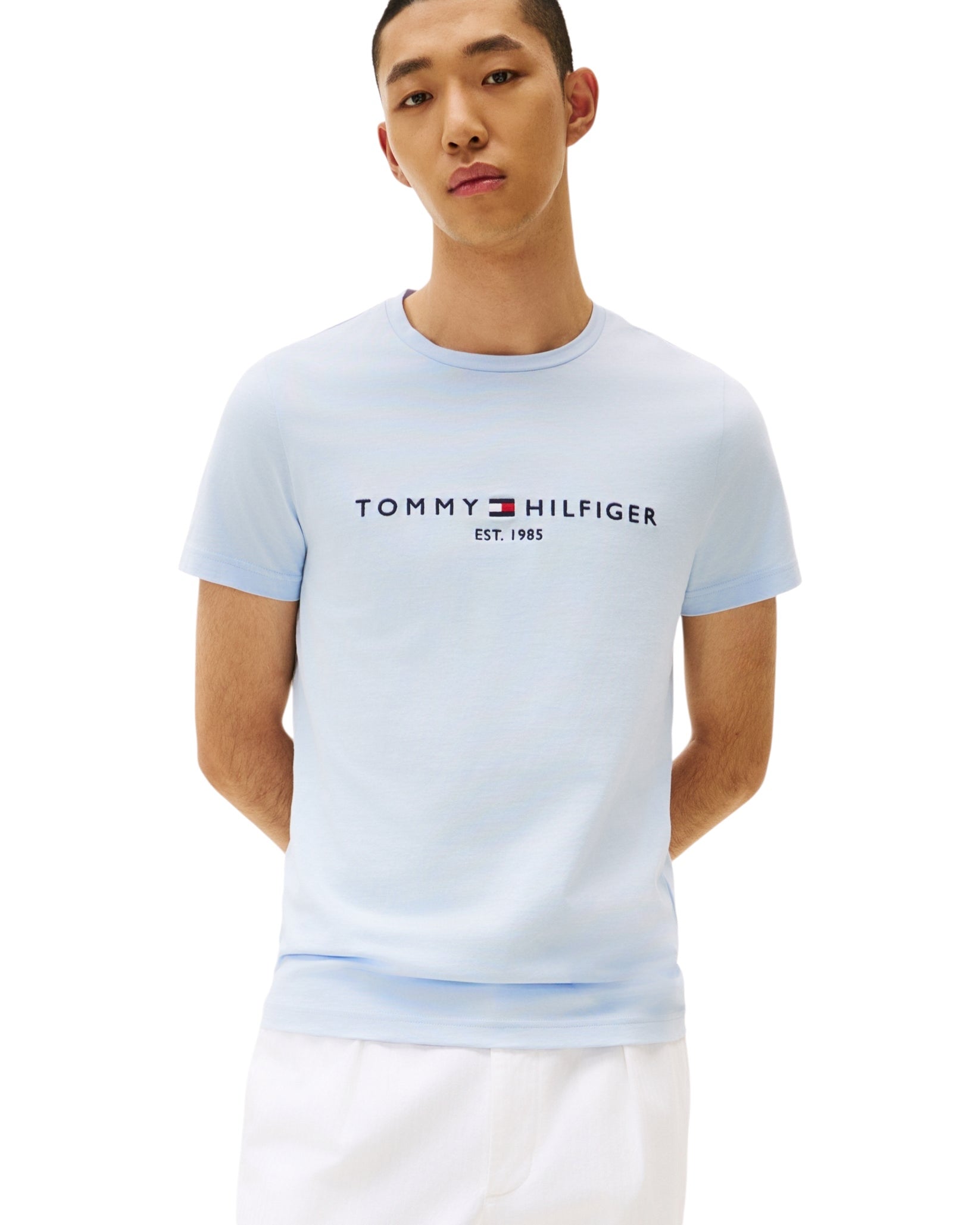 Tommy Hilfiger Logo Basic Mens T-Shirt